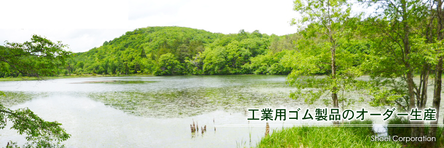 株式会社ショウエー ロゴ